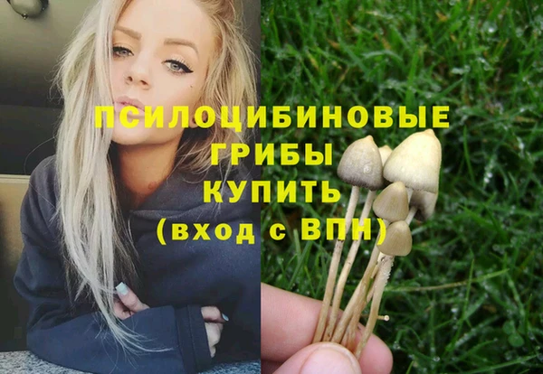кристаллы Абаза