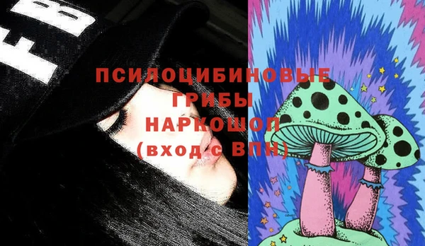 бошки Сатка
