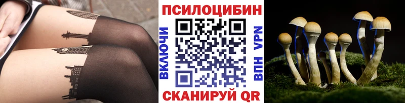 даркнет сайт Горбатов Псилоцибиновые грибы Magic Shrooms
