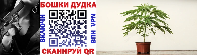 Канабис сатива  мега как зайти  Горбатов  купить  сайты 